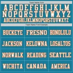 Custom Panther Blue Orange-White Mesh Authentic Football Jersey - Image 3