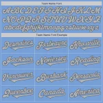 Custom Light Blue Gray-Steel Gray Authentic Two Tone Baseball Jersey - Image 4